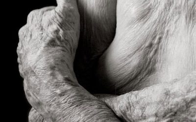 ENVEJECIENDO DESNUDOS